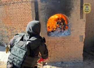 Operação Protetor: Polícia Civil incinera cerca de 60kg drogas no sul do Tocantins Foto: Divulgação/PCTO