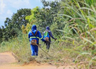 Prefeitura de Palmas realiza roçagem em 14 bairros em uma única semana Foto: Regiane Rocha/Secom